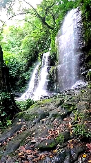 Cascada natural entre vegetaci&oacute;n tropical cerca de Melgar, Tolima