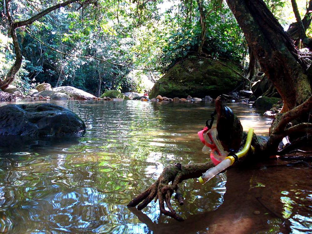 Nina jugando en una quebrada de aguas claras entre raíces de un árbol grande cerca de Melgar